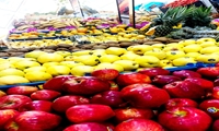 رصد ویژه از بازار کالاهای اساسی، میوه فروشی ها در ایام جنگ تحمیلی و سال نو در شهرستان فاریاب 